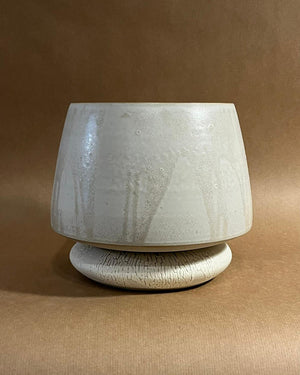 Vessel #1 + Kalanchoe beharensis
