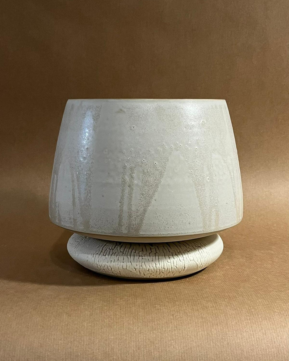 Vessel #1 + Kalanchoe beharensis
