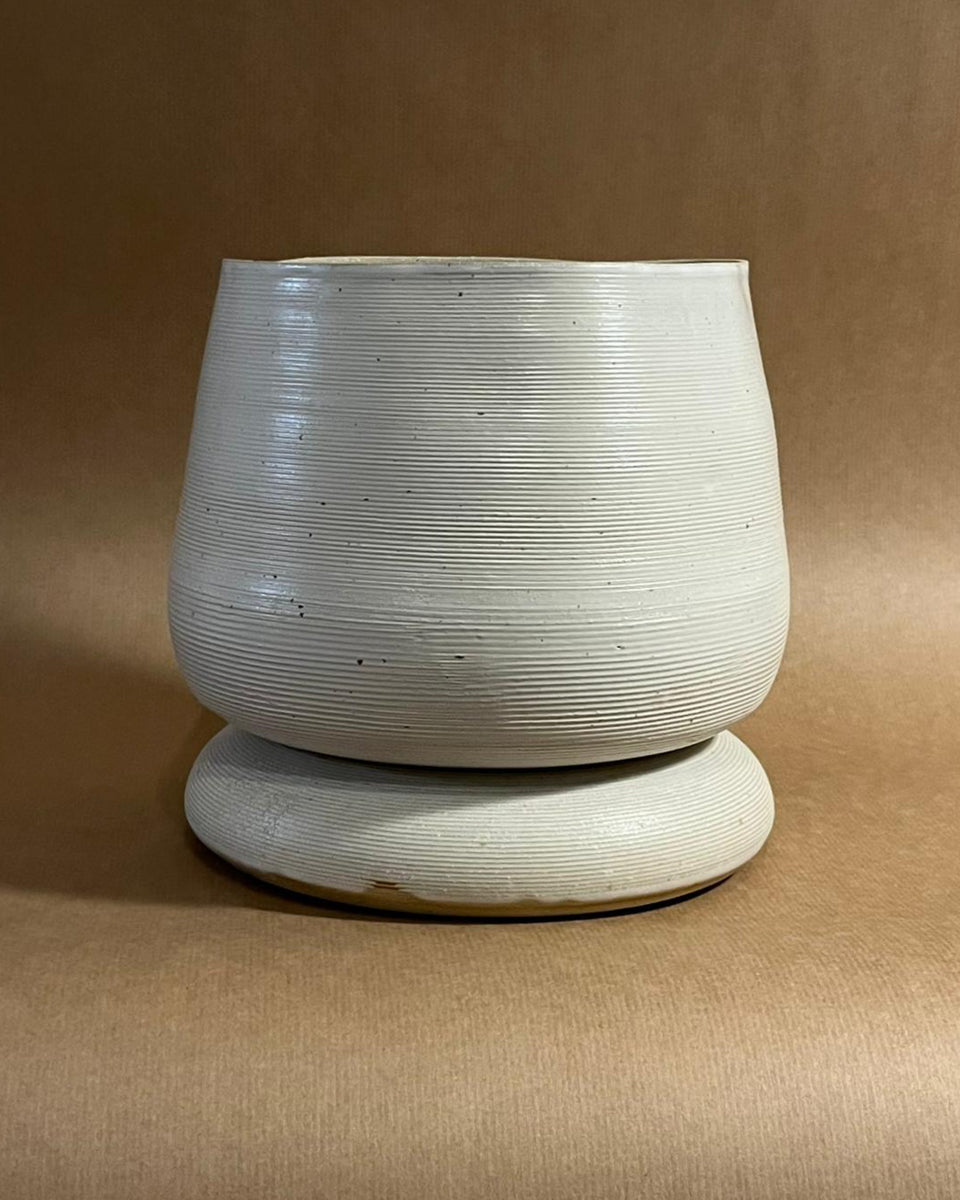 Vessel #3 + Aspidistra elatior