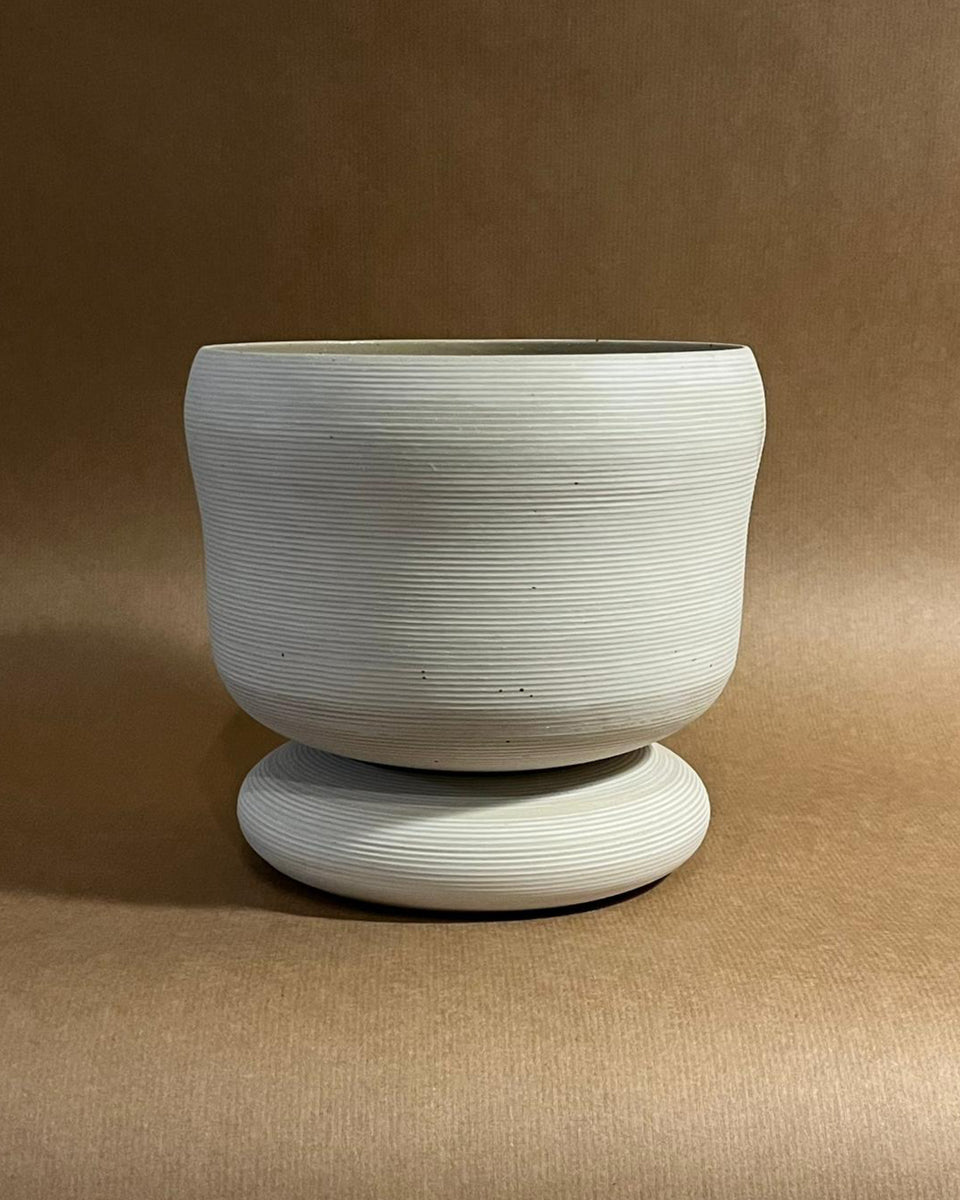 Vessel #10 + Acacia dealbata (Mimosa)