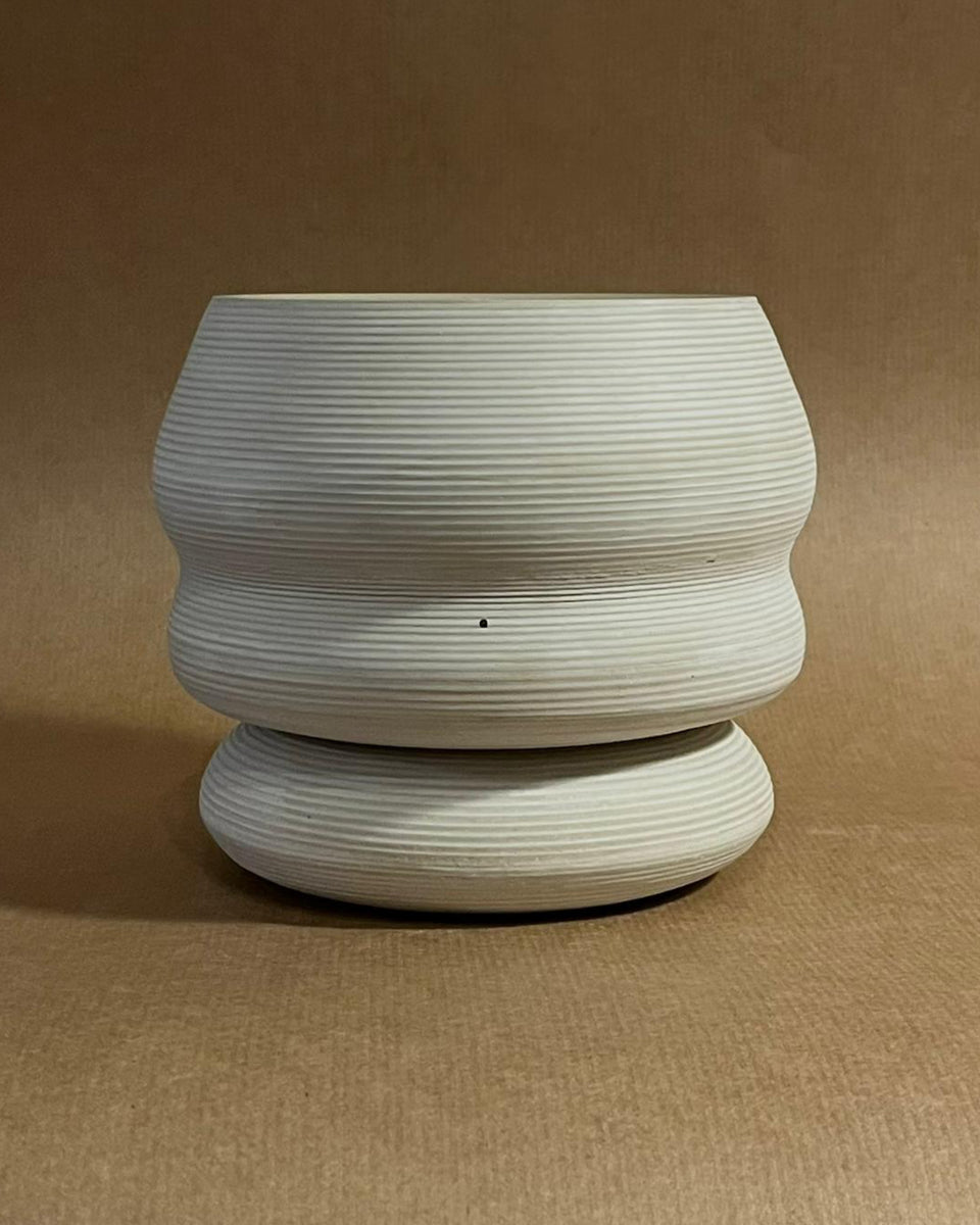Vessel #12 + Cereus spiralis