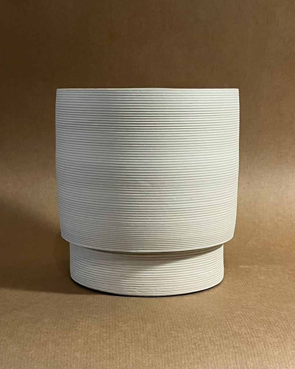 Vessel #9 + Platycerium holttumii