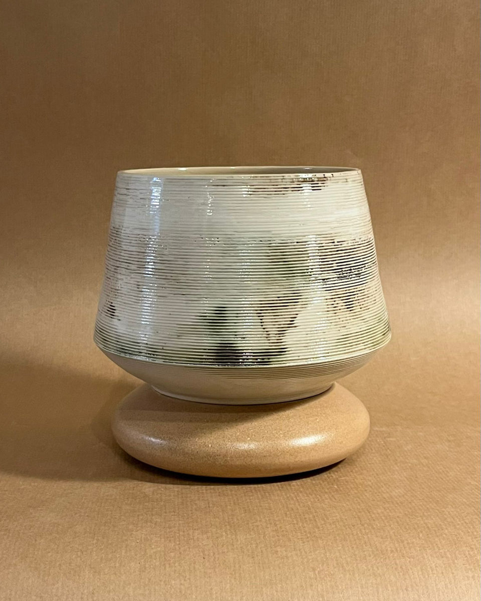 Vessel #17 + Anthurium clarinervium