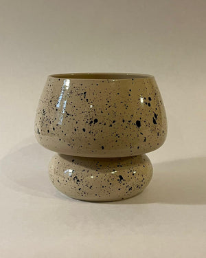 Vessel #6 + Alocasia Frydek
