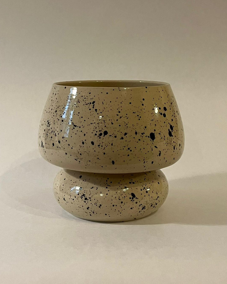 Vessel #6 + Alocasia Frydek