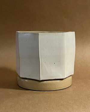 Vessel #2 – Alocasia scalprum