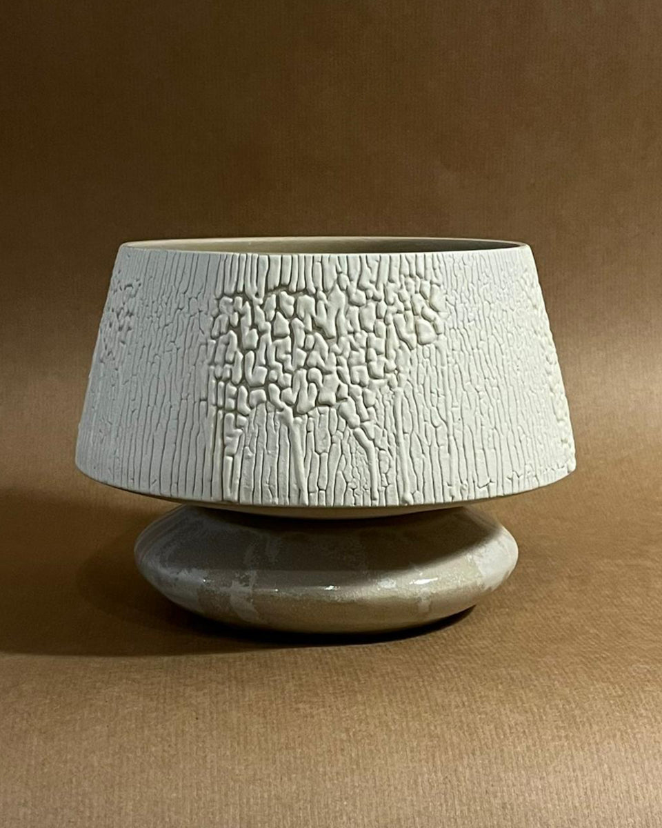 Vessel #15 + Phlebodium ‘Blue Star’