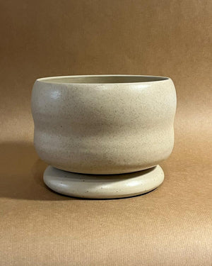 Vessel #14 + Euphorbia Mauretania