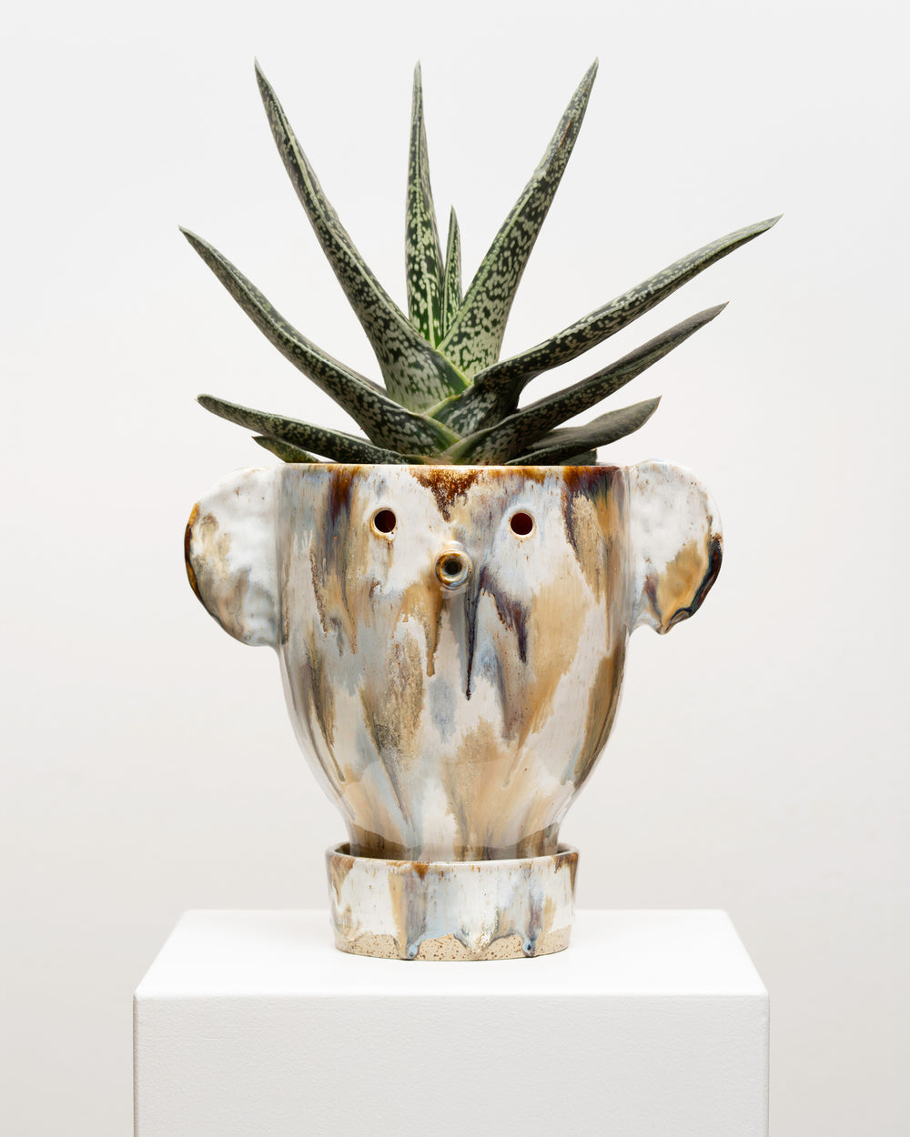 Wild Thing 8