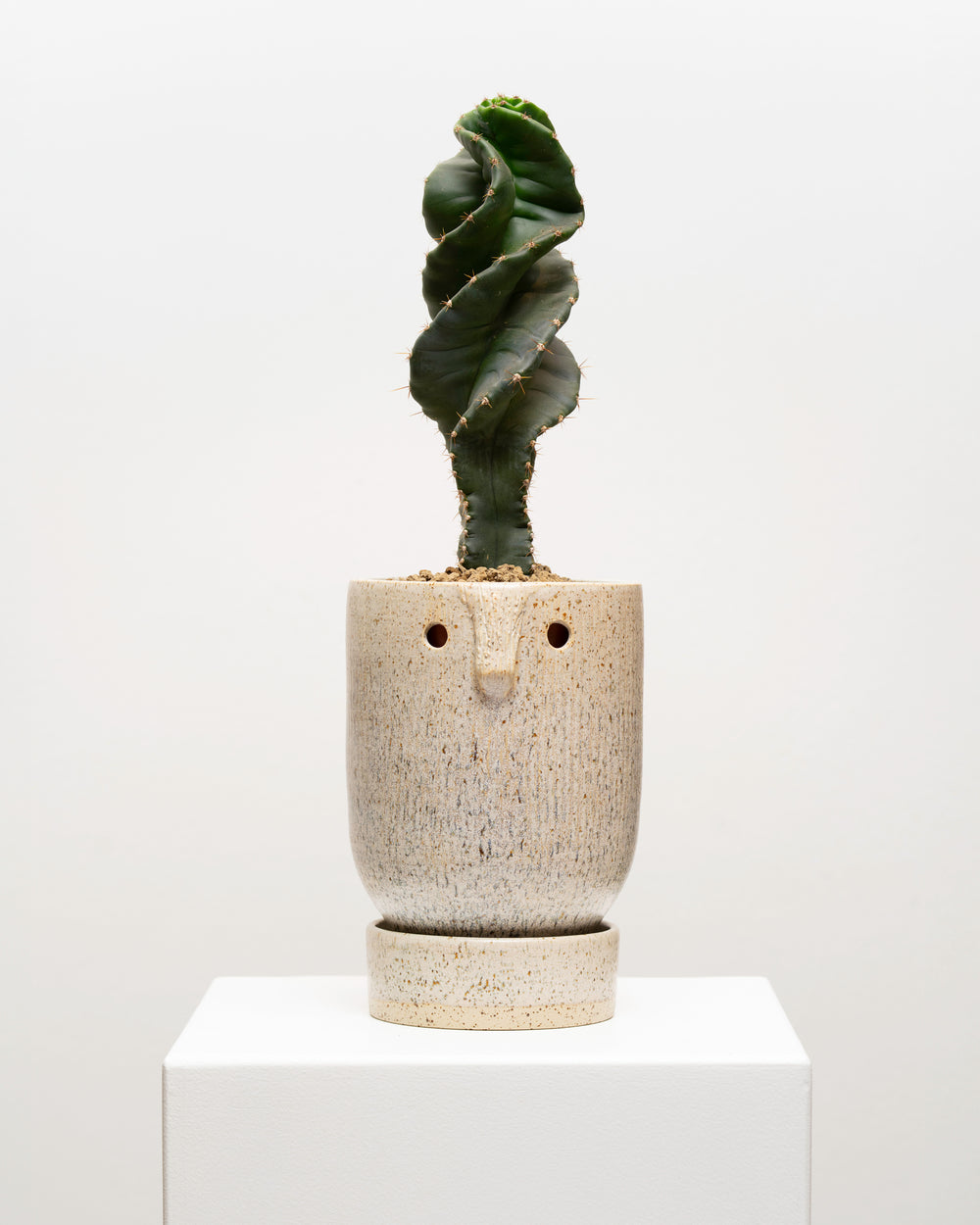 Wild Thing 6