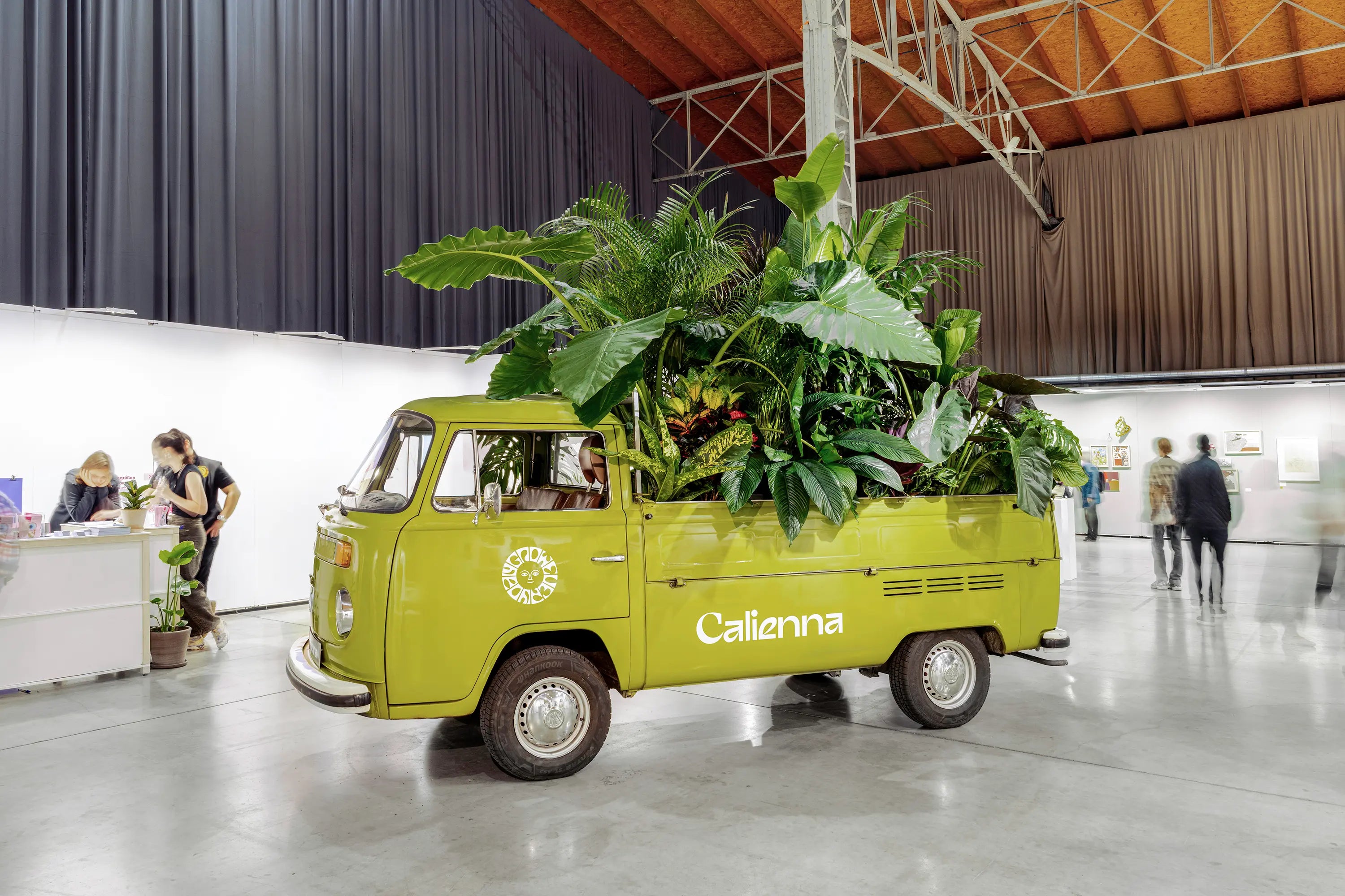 Calienna Pop-Up