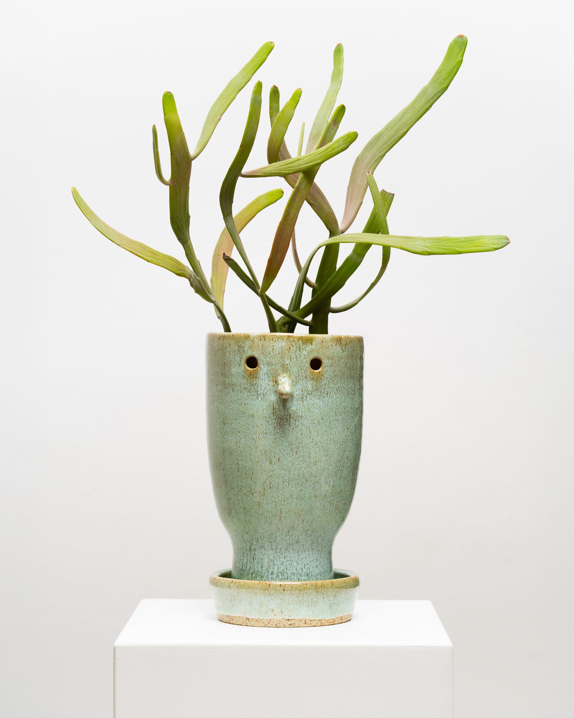 Wild Thing 9