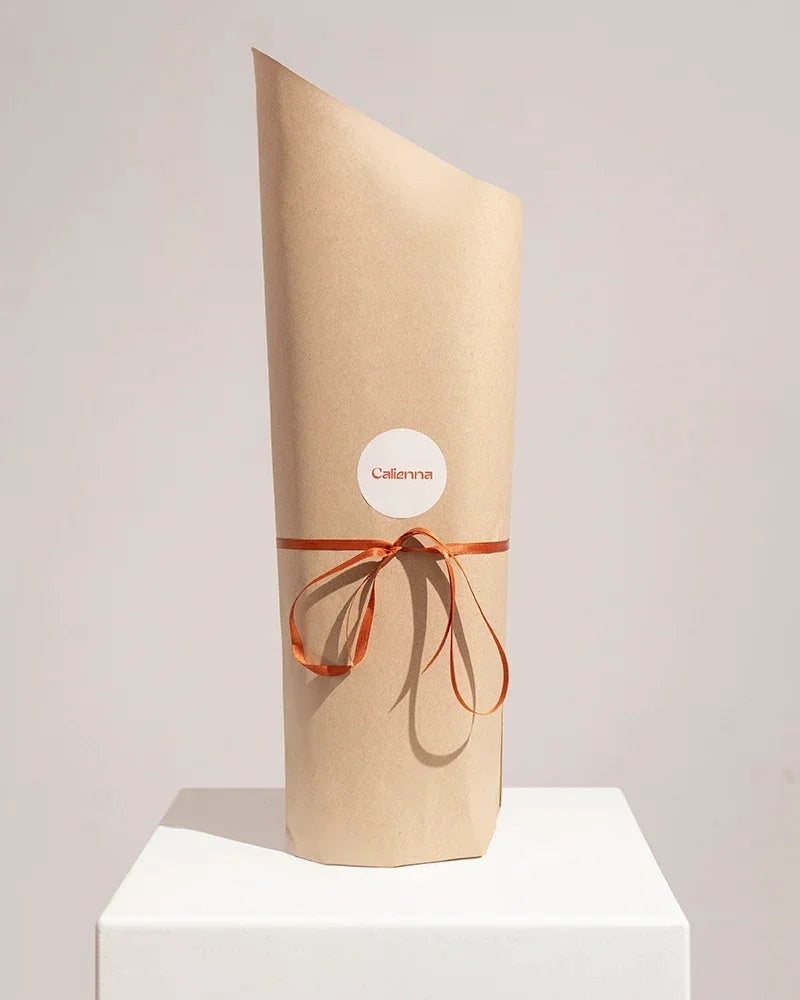 Pflanzen kaufen in Wien als Geschenk bei Calienna: in Kraftpapier eingewickelte Pflanze mit Satinschleife.