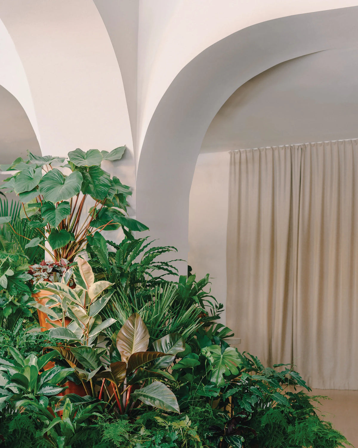 Gewölbte Bogendecken im Calienna Pflanzengeschäft in Wien, gerahmt von üppigem Grün aus Gummibaum, Philodendron, Ficus, Homalomena, Monstera, Farn und Calathea.