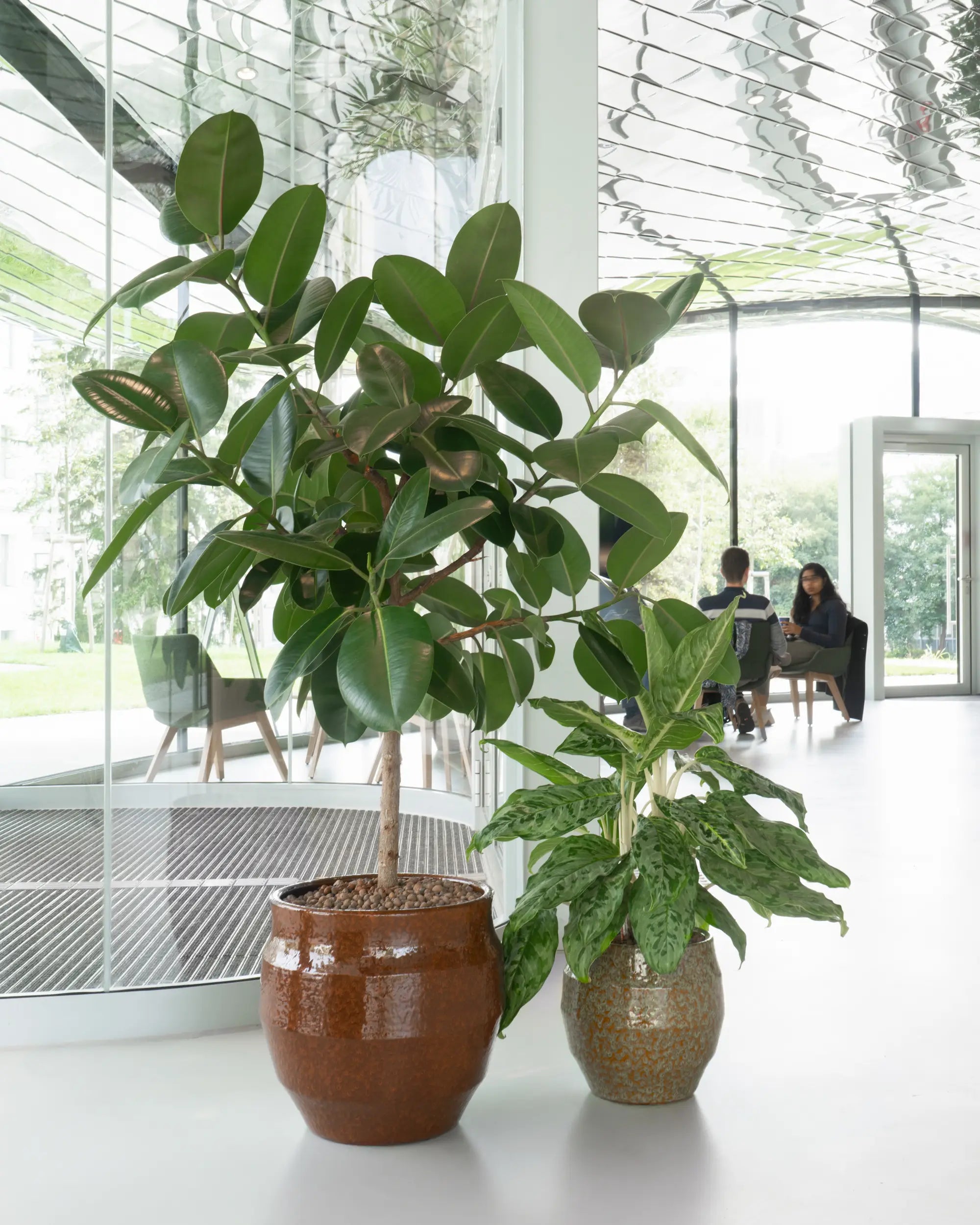 Glasierte Blumentöpfe von Calienna in Wien: satte Kupfer- und Grüntöne für Gummibaum und Aglaonema.
