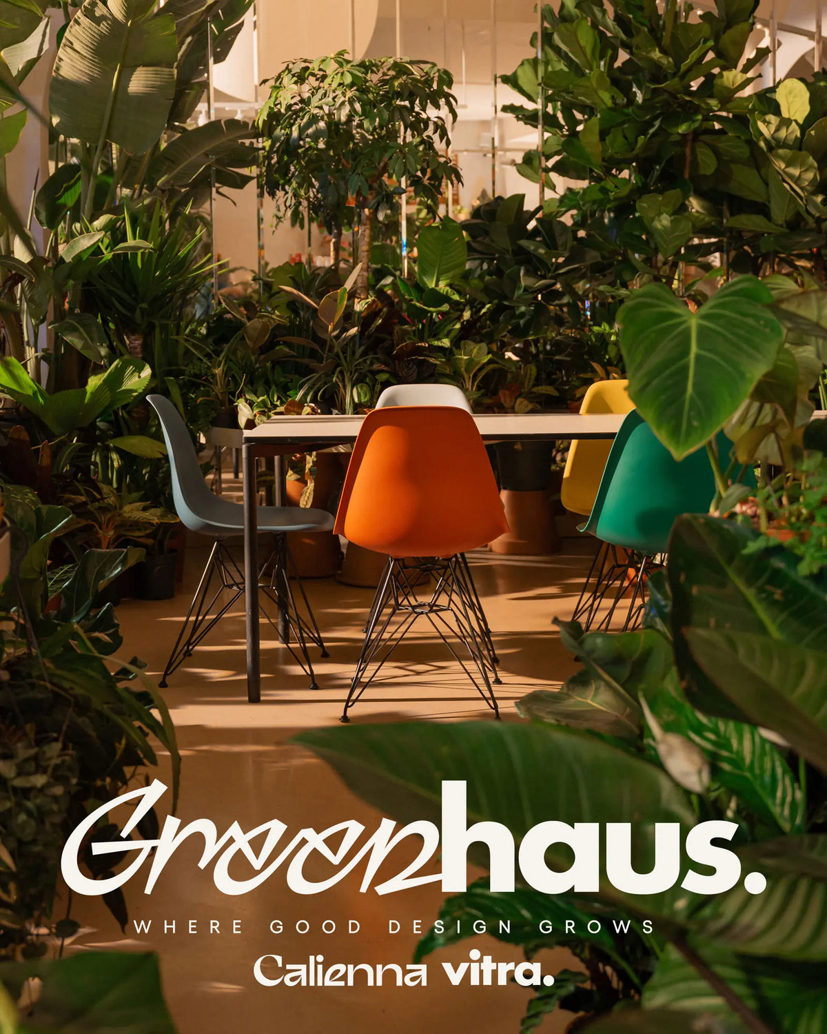 Vitra x Calienna Kollaboration in Wien: farbige Eames-Stühle inmitten dichter Bepflanzung im "Greenhouse" Konzept.